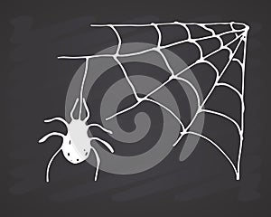 Spider web Hand drawn sketched web vector illustration on chalkboard background