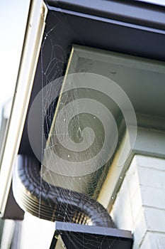 Spider Web on a Home
