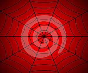 Spider web illustration