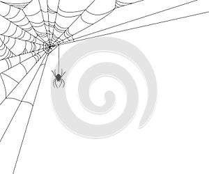 Spider Web Illustration photo