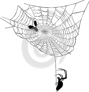 Spider on web illustration
