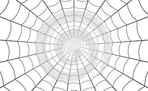 Spider web, net of thread cobweb background