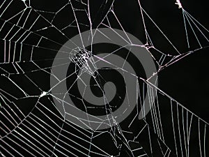 Pavúk pavučina v noci textúra 