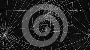 Spider web pattern seamless. White spider web drawings on black background.