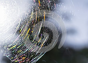 Spider web rainbow