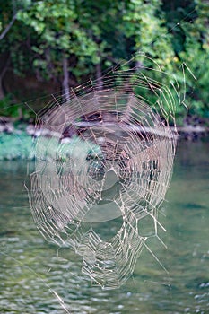 Spider Web Reflecting the Morning Dew - 2