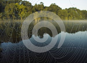 Spider web river