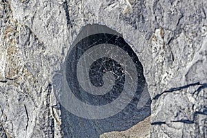 Spider web in rock pit in nature