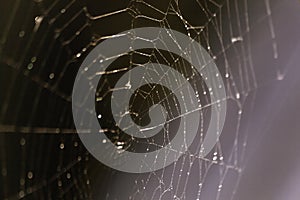 Spider web on rusty balcony fence on blurred background. Selective focus