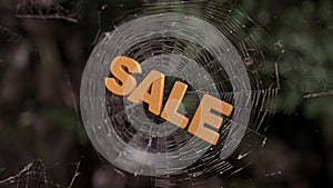 Spider web sale abstract