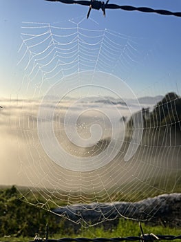 Spider Web and Sea of clouds in the Pyrenees Basque Country