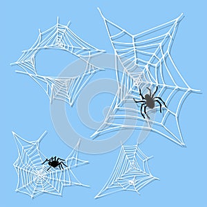 Spider web silhouette arachnid fear graphic flat scary animal design