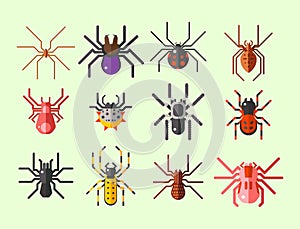 Spider web silhouette arachnid fear graphic flat scary animal design