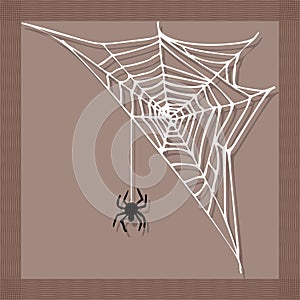 Spider web silhouette arachnid fear graphic flat scary animal design nature insect danger horror halloween vector icon. photo
