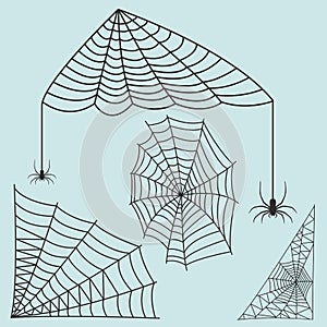 Spider web silhouette arachnid fear graphic flat scary animal design nature insect danger horror vector icon.