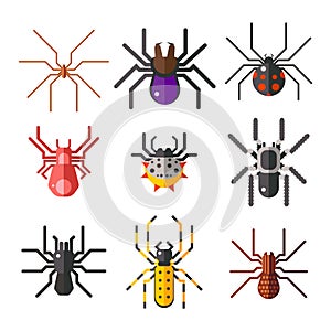 Spider web silhouette arachnid fear graphic flat scary animal design photo