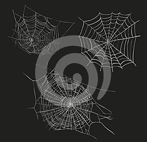 Spider web sketch vector illustration.
