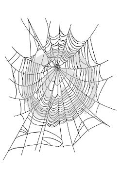 Spider Web