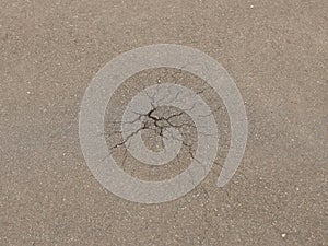 Spider web split in the asphalt. The plant breaks through the hard asphalt covering. The power of life and nature permeates urban photo