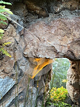 spider web on stone wall at sunset