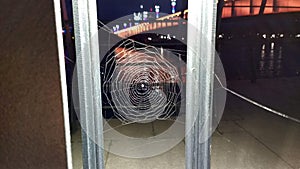 Spider web in street lamp overlooking bridge