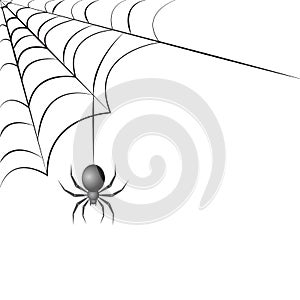 Spider with web vector illustration stock