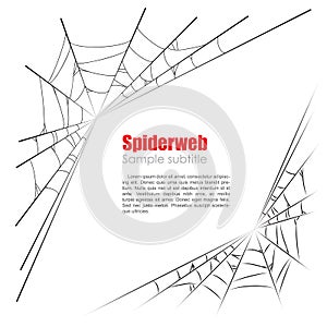 Spider web vector illustration on white background