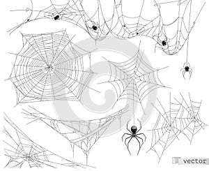 Spider web, vector set of elements