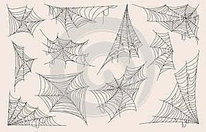 Spider Web Vector Set, Halloween Cobweb Illustration