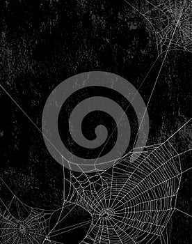 Spider web vertical grunge background