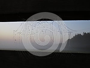 Spider Web with Water Drops on Railing Balustrade with Beautiful Nature Wild Landscape Sunrise with Foggy Mist in Background