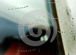 Spider web with water drops