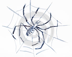 Spider on the web on white paper