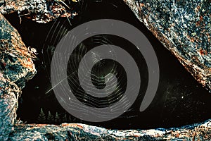 Spider web in the woods in a cave.