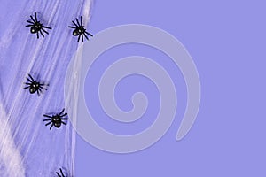 Spider webs and plastic spiders on side of purple Halloween background