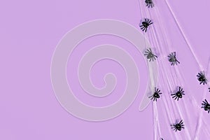 Spider webs and plastic spiders on side of violet Halloween background