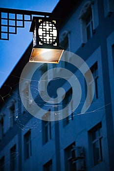 Spider webs under street lamps at nig