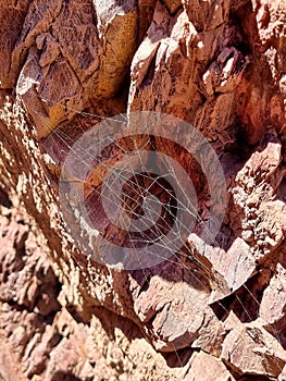 Spidernet on unusual rock structure background, geological object