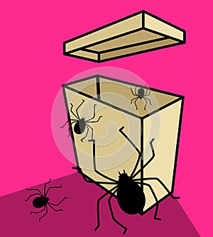 Spiders in Packet