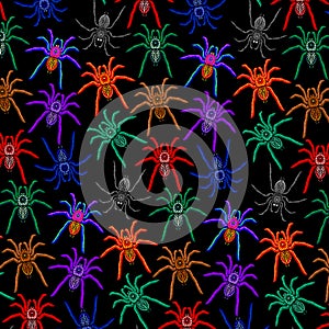 Spiders Pattern Colorful Tarantulas on Balck Background photo