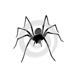 Spiders Vector Design Logo. Spiders Illustration With Various Shapes and Different movements