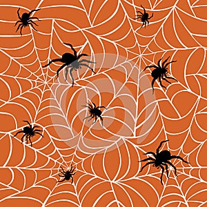 Spiders on Webs