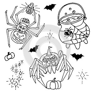 Spiders and witchs brew. Set of Halloween objects