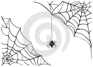 Spiderweb. Big black spider web. Black scary spider of web. Poison spider photo