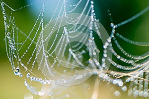 Spiderweb with dew drops macro selective focus