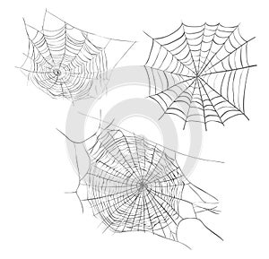 Spiderweb sketch vector illustration.