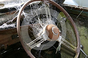 Spiderweb on steeringwheel