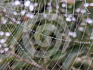 Spiderweb water drop