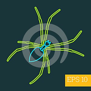 Spidery insect outline