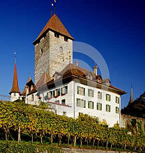 Spiez Castle